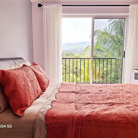 Victoria House Hostel San Isidro De El General ภายนอก รูปภาพ