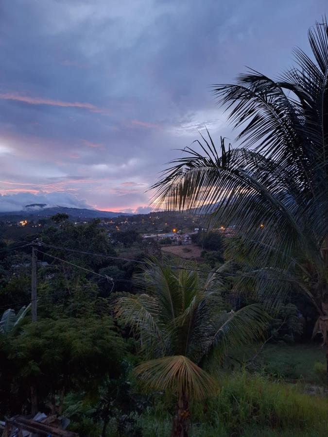 Victoria House Hostel San Isidro De El General ภายนอก รูปภาพ