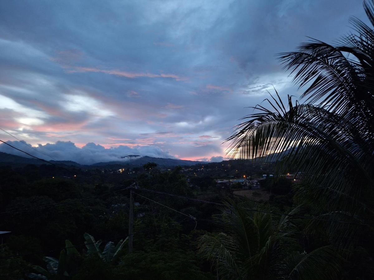 Victoria House Hostel San Isidro De El General ภายนอก รูปภาพ